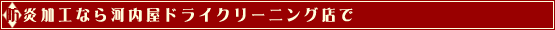 hHȂ͓hCN[jOX
