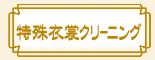 ߏփN[jO