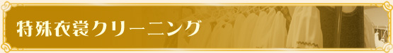 特殊衣裳クリーニング
